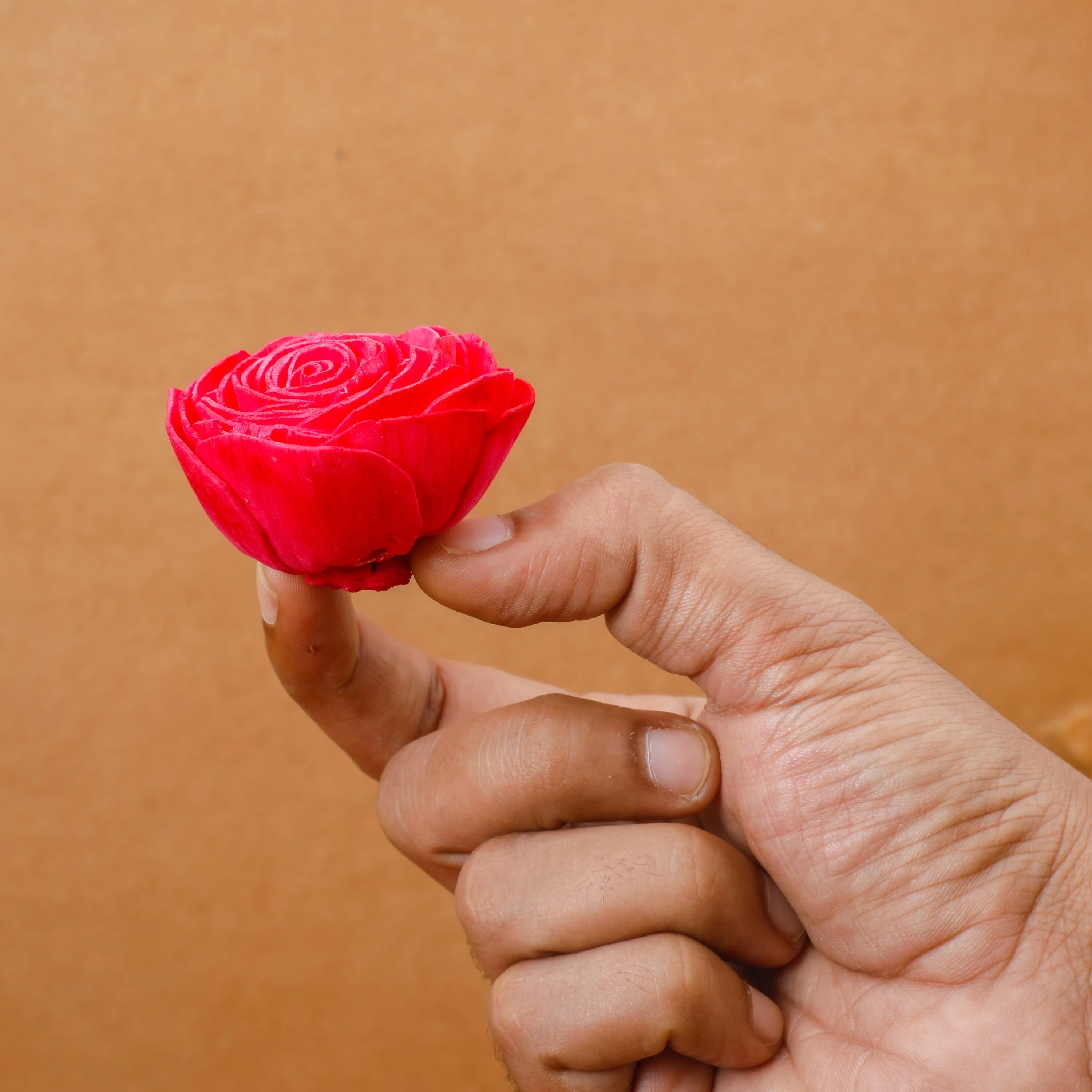 Loose Rose Flowers